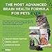 Neutricks for Aging Dogs - 60 Soft Chews - Daily Supplement for Canine Brain Health and Cognitive Function in Dogs - Support Mental Agility, Focus & Attention as Dogs Get Older - Taste Dogs Love!