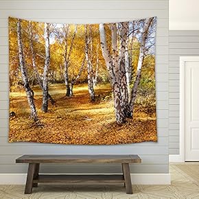 Nature Altaya Pleases Eye of The Artist in Any Season of The Year - Fabric Wall Tapestry Home Decor - 51x60 inches