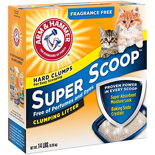 Arm & Hammer Super Scoop Clumping Litter, Fragrance Free All Cat Things