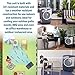 Honeywell CO60PM 2471 CFM Indoor/Outdoor Evaporative Air Cooler (Swamp Cooler) with Mechanical Controls in Gray/White