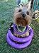 COLLAR Puller Standard Two Rings not just Toy for Dogs Active Toy for Dogs Fitness Toys for Dogs Ideal for Medium and Large Breeds Dog
