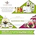 Teabloom - CLEARANCE SALE - MIGH-TEA Brewing Teapots for Iced Tea and Hot Tea, 2 Loose Tea Glass Infusers, 2 Glass Lids