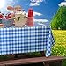 Blue Gingham Picnic / Party Plastic Tablecloth Roll, Disposable Picnic colored Table cloth On a Roll With Self Cutter Box,Cut Tablecloth To Your Own Table Size,Indoor/Outdoor, By Clearly Elegant