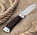 Grand Way Hunting Knife - Fixed Blade Knife - Large Bushcraft Fishing Knife with Sheath - Best 440c Stainless Steel Classic Large Sharp Blade - Hunting Knife Wood Handle 2432 AKP (Wood, Medium)