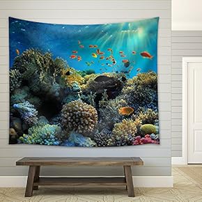 Beautiful View of Sea Life - Fabric Wall Tapestry Home Decor - 51x60 inches