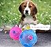Interactive dog toys,Treat IQ Ball Food Dispensing Dog Toy with Dog Rope Toys For Puppy And Labrador Yorkshire Poodle,Ball Shape Design Cleans Teeth By QPEY