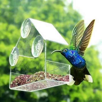 Amazon Com Changli Best Window Bird Feeder With Strong Suction