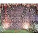 Maijoeyy 7x5ft Garden Flower Backdrop Brick Wall Grass Color Flower Backdrop for Birthday Party Baby Shower Decoration Backdrops for Photography