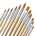 Grace Art Water Color Brush Set WS12