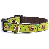 Up Country Nuts Pattern Dog Collar, Large (15 To 21 inches) 1 Inch Wide Width