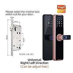 LEIXYOO Tuya WiFi Digital Electronic Smart Door