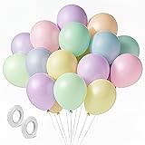 Pastel Balloons Latex Pastel Birthday Decorations