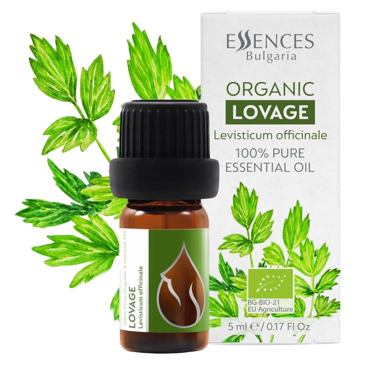 Essences Bulgaria Organic Lovage Essential Oil 5ml | Levisticum officinale | 100% Pure and Natural | Undiluted | Therapeutic Grade | Family Owned Farm | Steam-Distilled | Non-GMO | Vegan