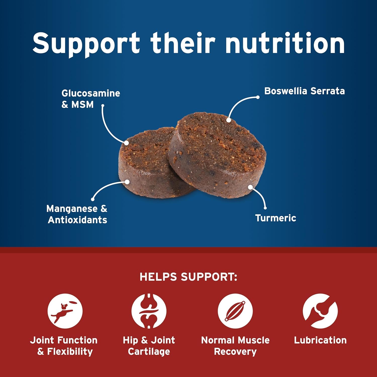Synovi G4 Dog Joint Supplement Chews, 60-Count, for Dogs of All Ages, Sizes and Breeds