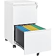 Letaya 2 Drawer Mobile File Cabinet with Lock,Under Desk Metal Filing Cabinets for Home Office Organizer Letters/Legal/A4(Fully Assembled-White)