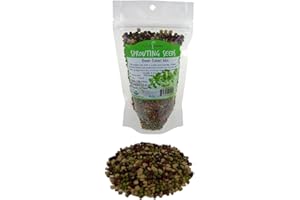 Bean Salad Sprouting Seed Mix- Organic- 1/2 Lbs (8 Oz.) - Mix of Bean Sprout Seeds: Adzuki, Mung Bean, Green Lentil & Radish.