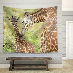 Godafoss Waterfall in Iceland - Fabric Wall Tapestry Home Decor - 51x60 inches