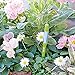Sustee Aquameter (Green, Large, Refillable) - Plant Soil Moisture Meter, Sensor, Probe, Indicator - Best for Potted Plants