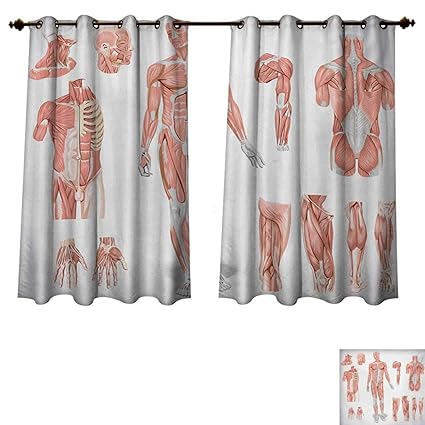 Amazon Com Rupperttextile Human Anatomy Blackout Thermal Curtain