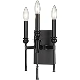 Golden Lighting Landon 3-Light Wall Sconce in Matte Black