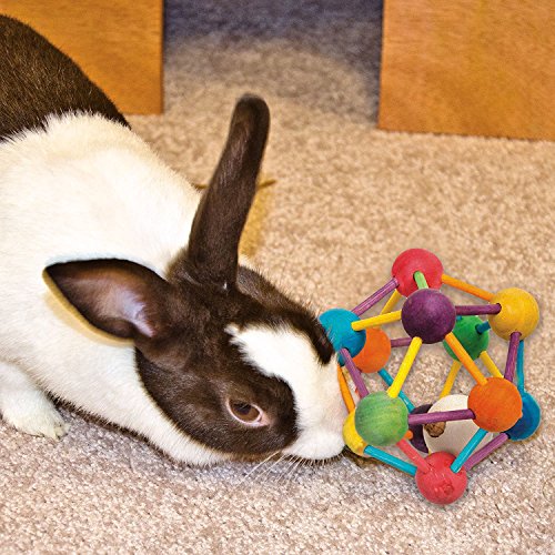 Top 10 Best Small Animal Toys For Rabbits Best of 2018 Reviews No