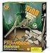 Geoworld Dino Excavation Kit - Pteranodon Skeleton