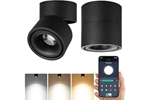 Yodaba LED Dimmable Ceiling Art Spotlight - 360°Adjustable Indoor Surface Mounted 10W COB Lighting -Stepless Dimming Warm Light 3000K to Cool White 6000K Ceiling Downlight-Wall Swivel Lamp (Black)
