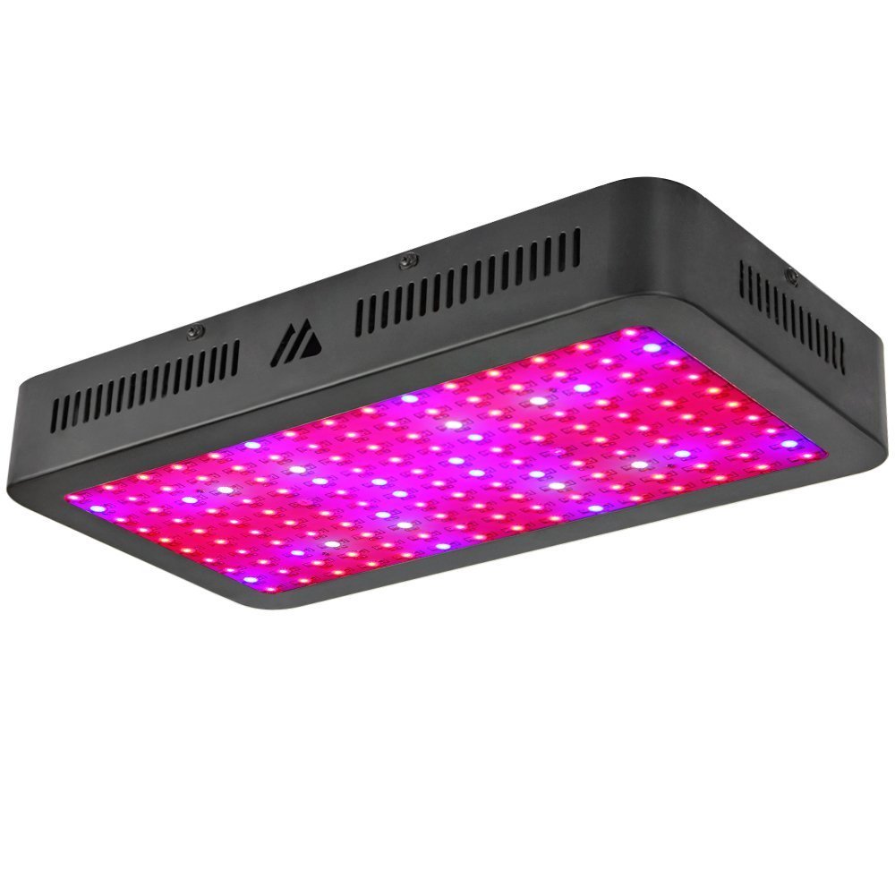 Dimgogo Best LED Grow Light