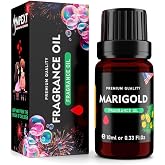 Marigold - Top-Tier, Select Grade Fragrance Oil, 10ml