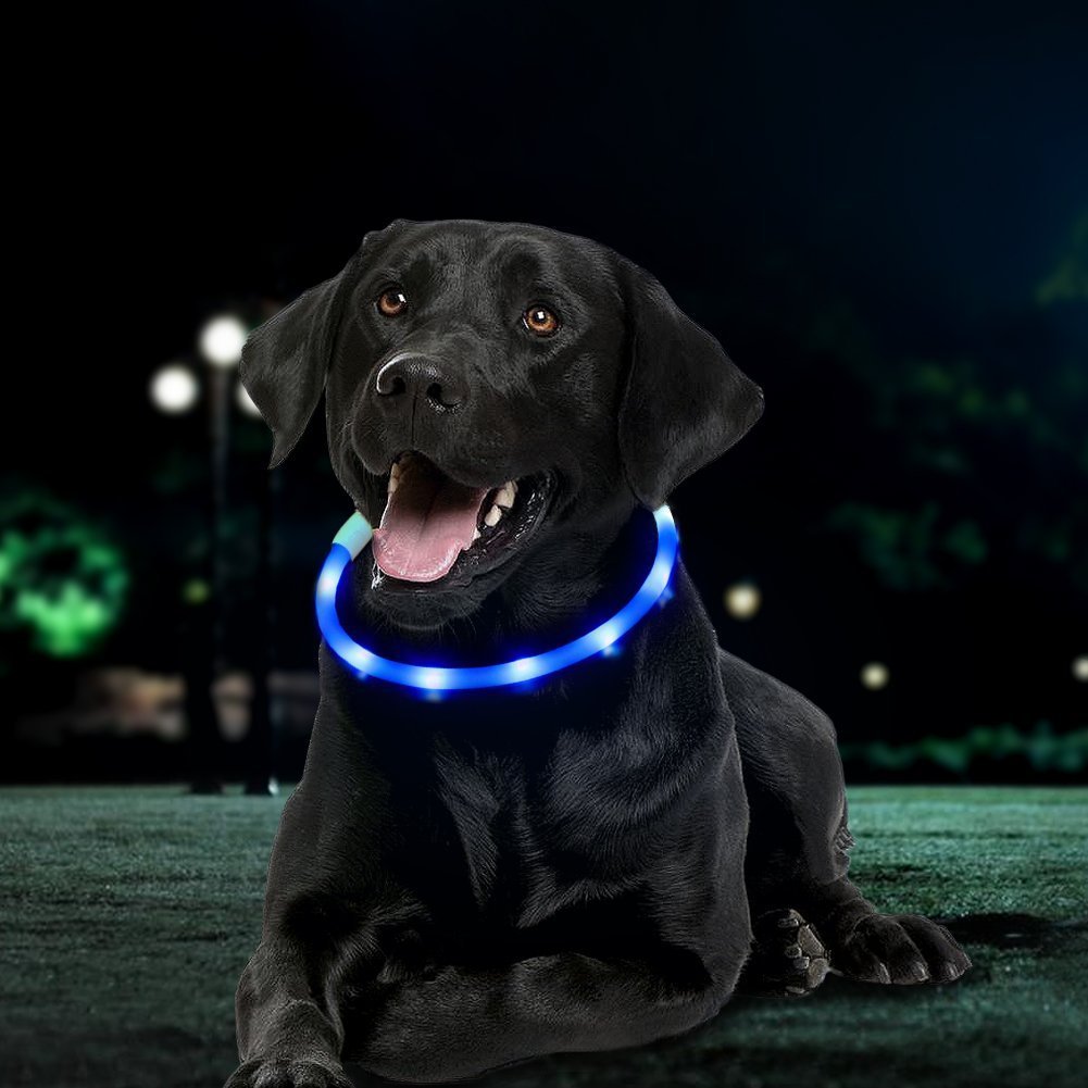 Fashion&cool Led Dog Collar,Magnetic Connector,USB Rechargeable Glowing Pet Dog Collars for Night Safety,Water Resistant Light up Collar for Small,Medium,Large Dogs(Blue)
