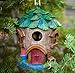 Harmony Fountains The Bright Tree House 9