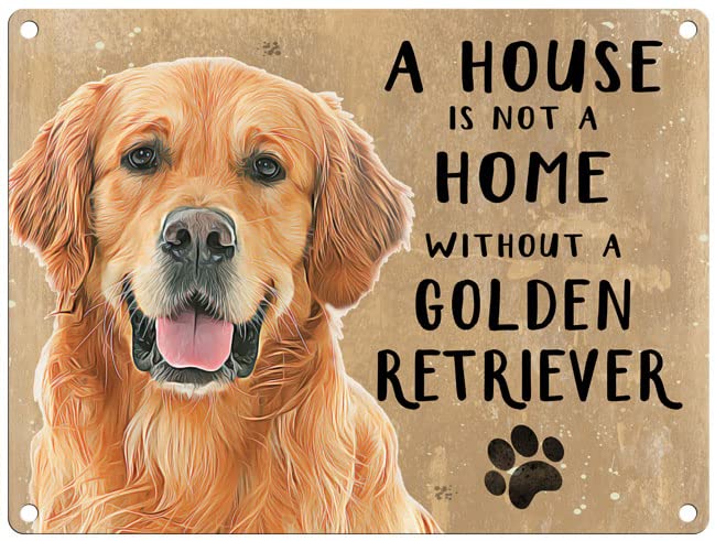 Small (150 x 200mm) Metal Sign - A House is Not a Home - Golden Retriever