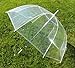 Cloak™ Clear Auto Open Umbrellas