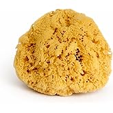 Real Sea Sponge for Men - Extra Large 6"-7", Totally Natural, Kind on Skin for an Invigorating Shower, Supplied in Breathable Mesh Bag. Great for The Gym, Grooming, Bath & Body Gift by Constantia Man