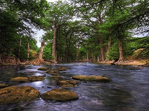 guadalupe river in the texas hill country Paintiing - On Canvas Modern Wall Art Pictures For Home Decoration Wooden Framed (24X32 Inch, Framed)
