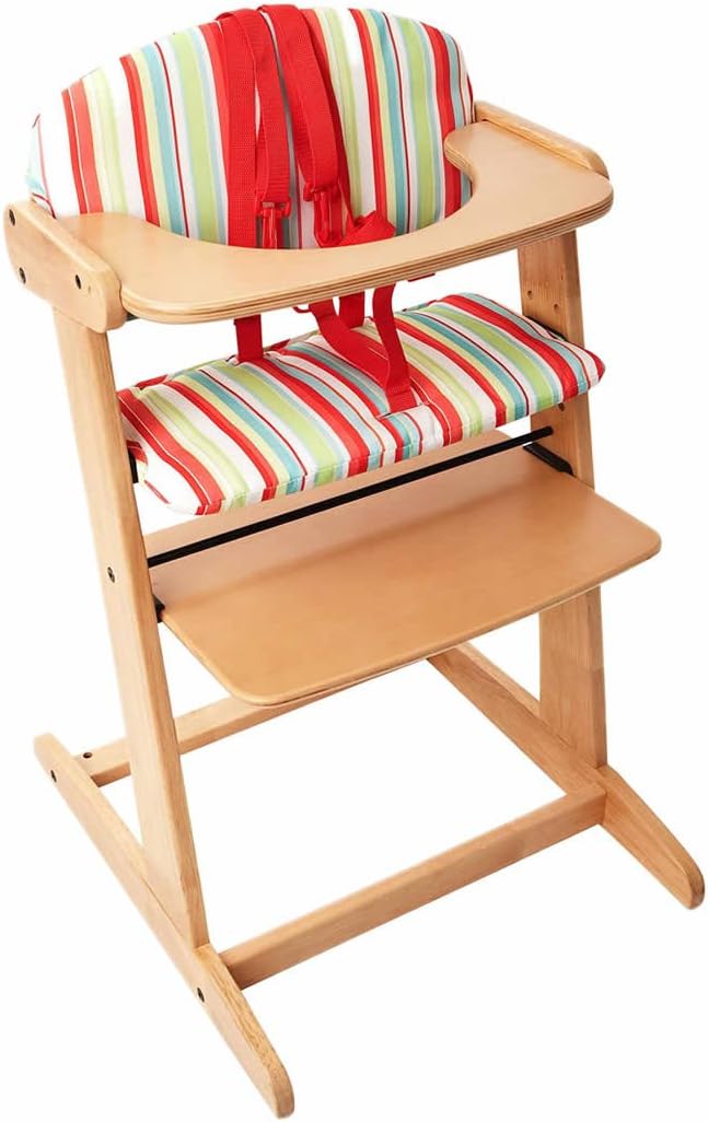 embroidered blanket baby