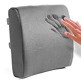 Lumbar Support Cushion for Office Chair by Easy Posture ★ Memory Foam Back Support for Chairs ★ Double Adjustable Straps to Keep Back Cushion in Place ★ Breathable Mesh Fabric