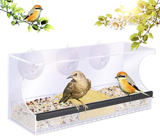 Amazon Com Yut Clear Window Bird Feeder Transparent Viewing