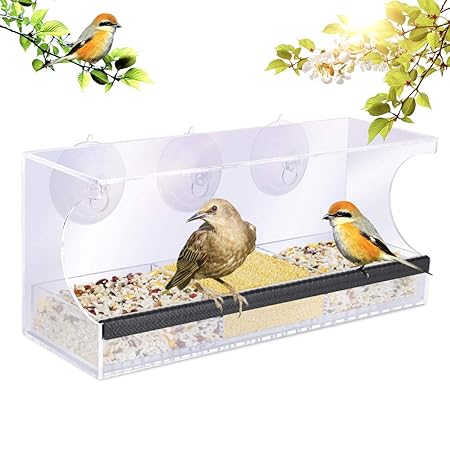 Yut Large Size Clear Window Wild Bird Feeder Transparent Viewing
