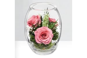 FIORA LIVING FLOWER Fiora Flower | Long Lasting Real Roses in a Sealed Vase | Lasts up to 5 Years | Unique Present Gift (Grace)