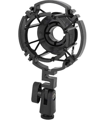 Amazon.com: AKG Acoustics H85 Spider-Type Shock Mount for C300B