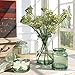 Noah Decoration European Hand-Blown and Handmade Light Green Glass Flower and Filler Vase and Containers for Home and Wedding Indoor and Outdoor Decoration Size Medium