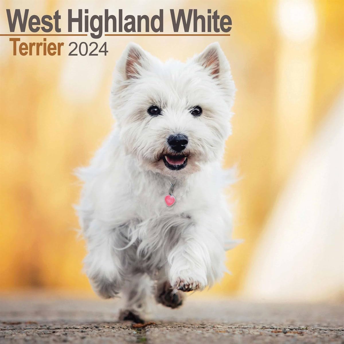 West Highland Terrier Calendar 2024 Square Dog Breed Wall Calendar - 16 Month
