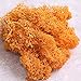 Bister 6.5oz Reindeer Moss Preserved 5 Assorted Colors for Fairy Gardens, Gift Packing, Dressing Potted Plants and More Crafts