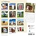 Outhouses 2017 Calendar