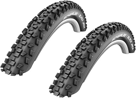 schwalbe black jack 26 2.1