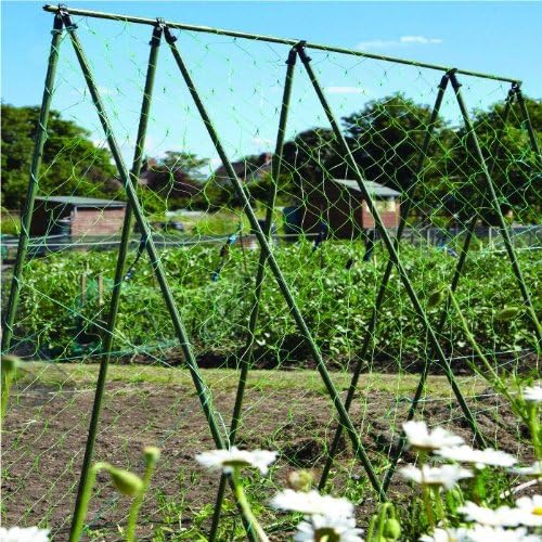 2m x 6m GARDEN TRELLIS SUPPORT NETTING BEAN PEA Amazon.co.uk