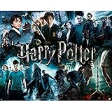 Harry Potter 1000 Piece Jigsaw Puzzle - 30in x 24in