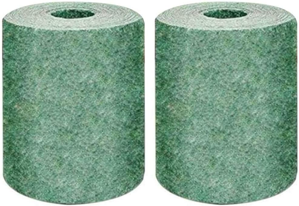 controllo dei funghi per i prati