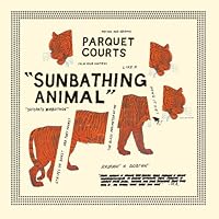 Parquet Courts Ablum Cover